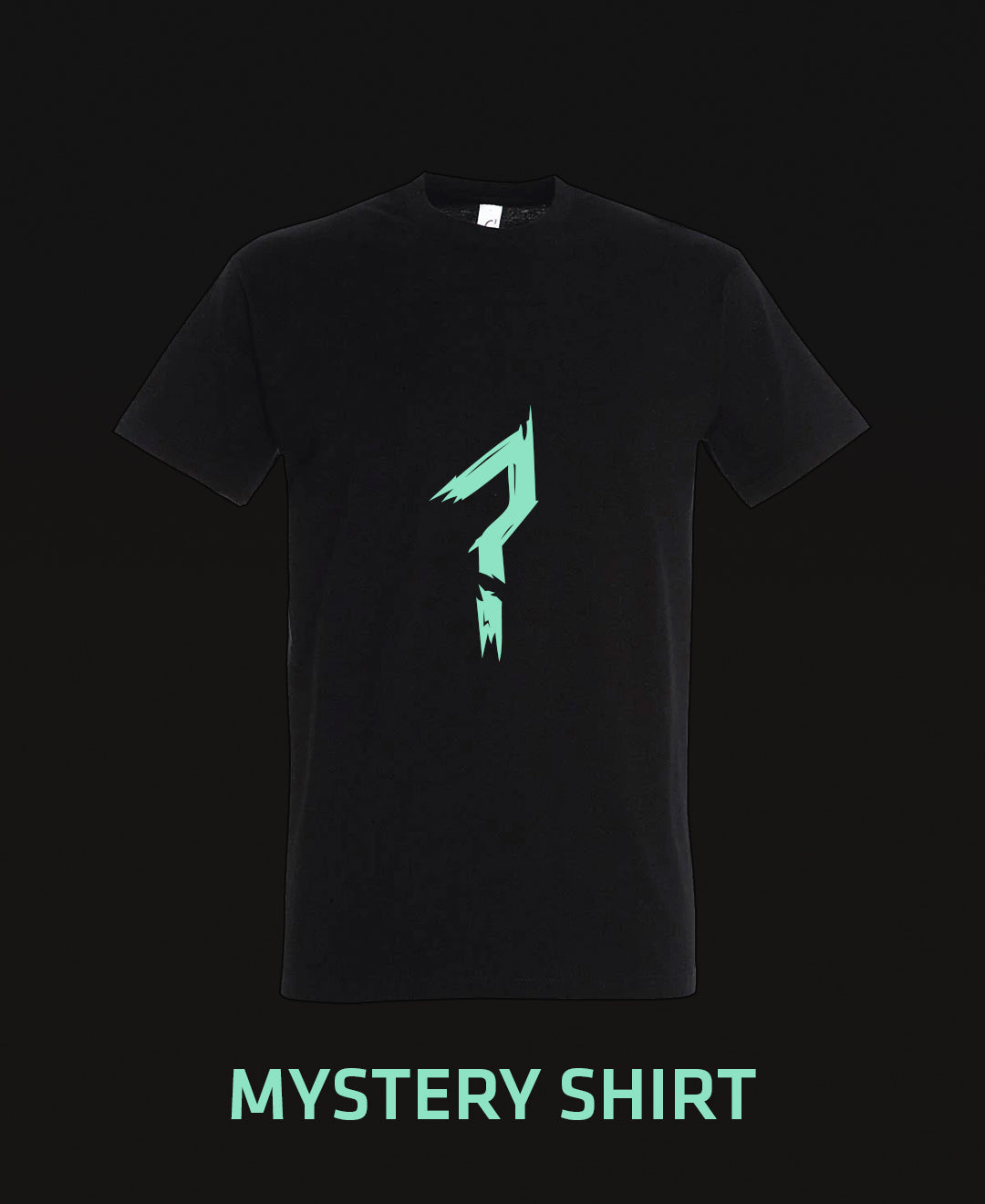 VORBESTELLUNG | "Mystery Shirt 2026" Shirt